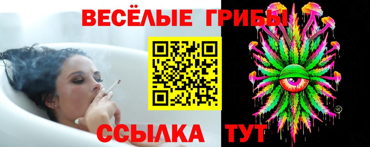 Псилоцибиновые грибы мухоморы Красноярск