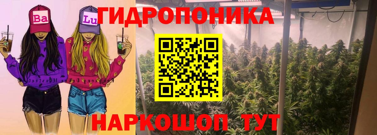 Шишки марихуана AK-47  Вход с VPN  Марихуана MAZAR  Шишки марихуана LSD WEED  Красноярск  Конопля гибрид 